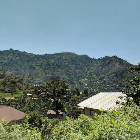 Community Gardens