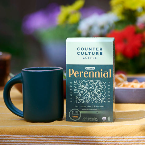 Perennial