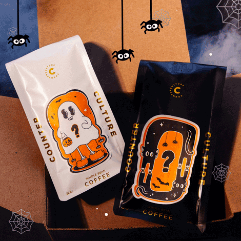 Mystery Coffee Bundle