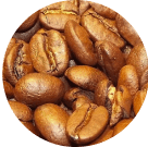 Light Roast